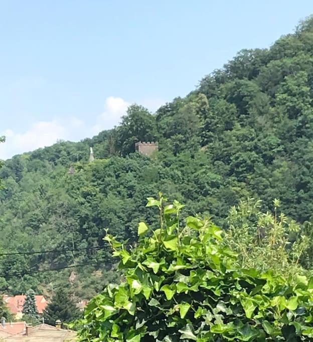 Gite Des Renards La Broque 외부 사진